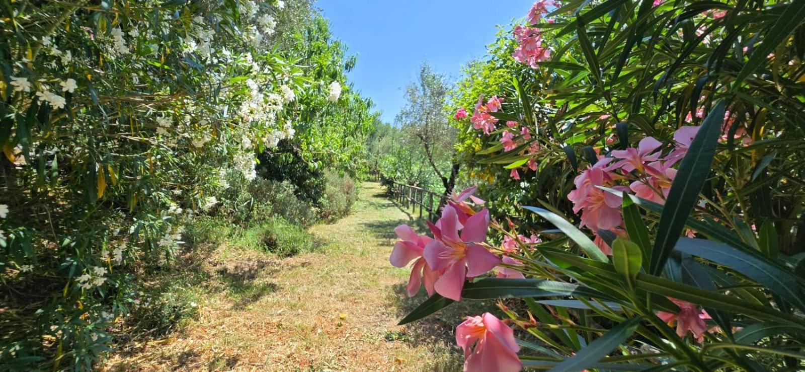 Campofiorito Monsummano Terme